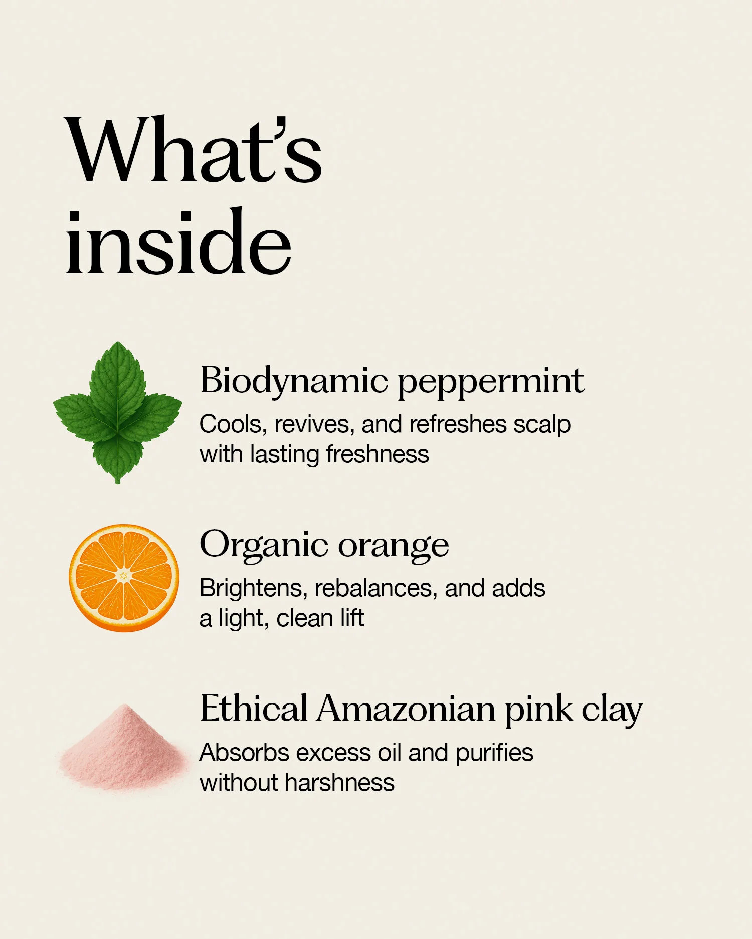 plant & mineral refresh - Image 3