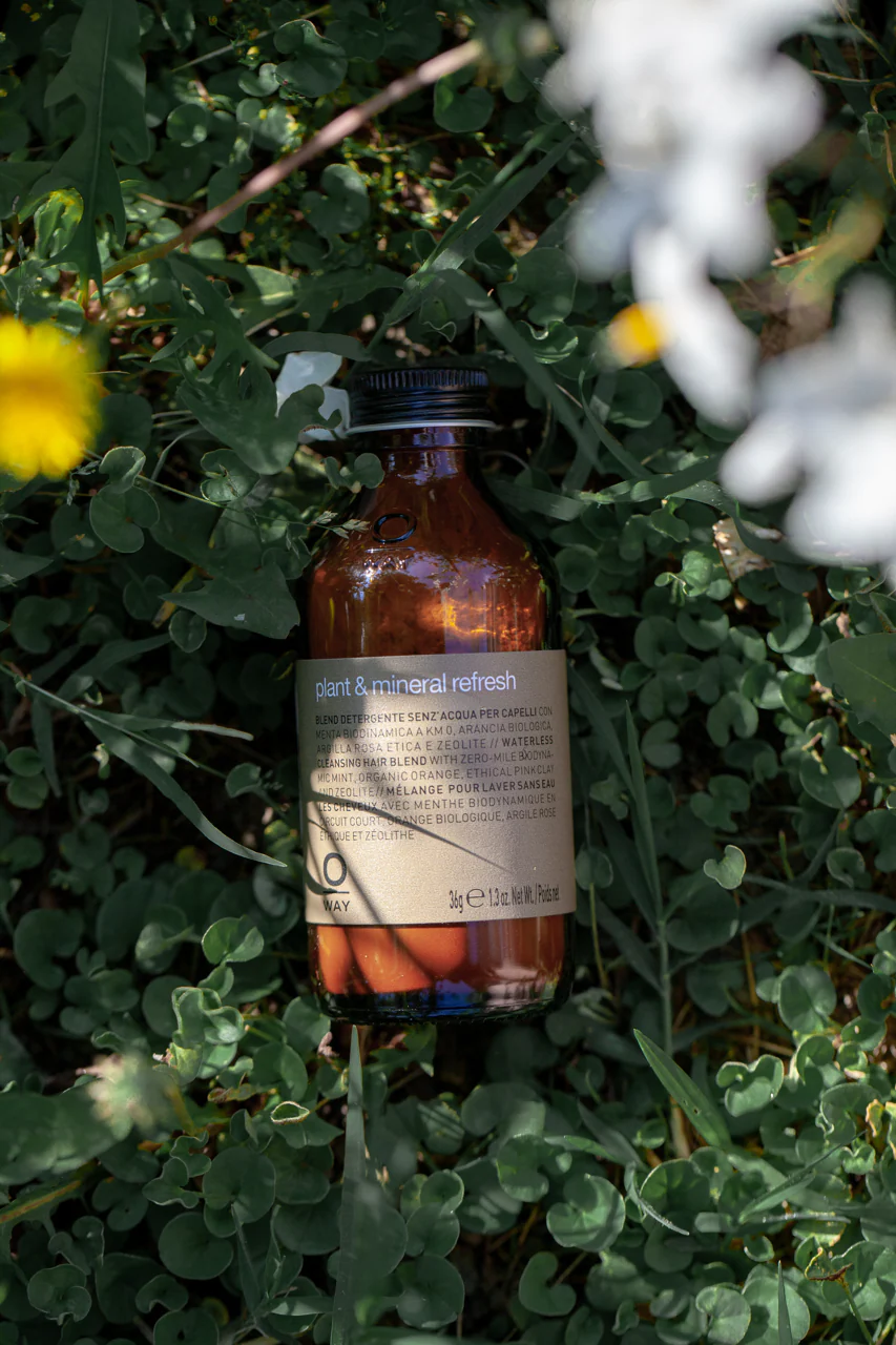 plant & mineral refresh - Image 6